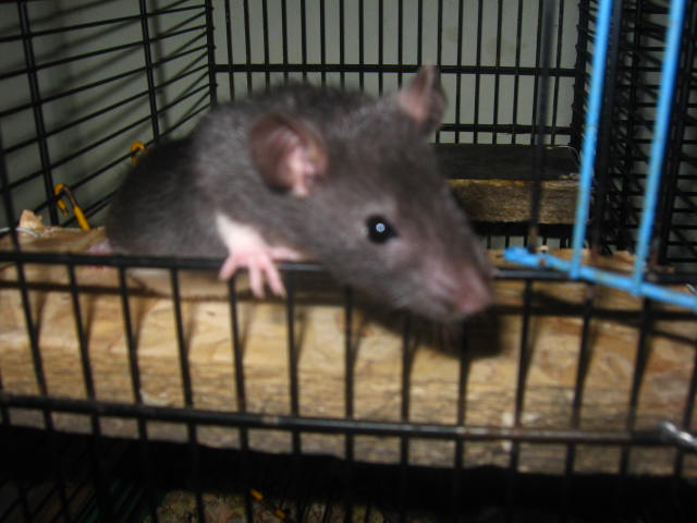 21.12.2008 057.jpg